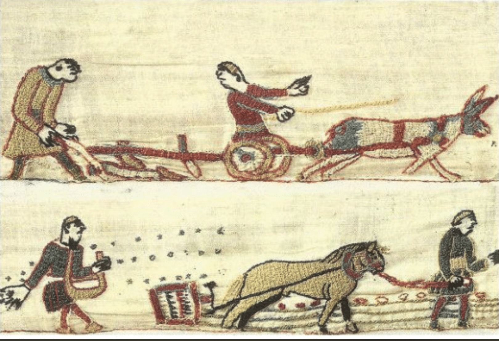 A medieval eight-ox plough team working an open field